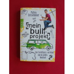Mein Bulli-Projekt