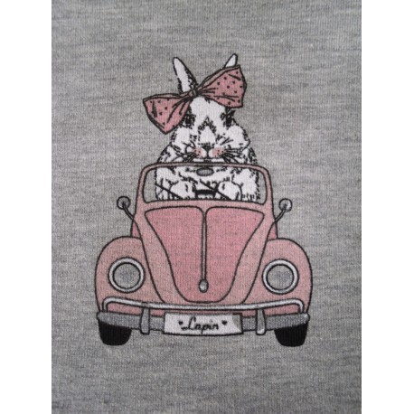 Jersey Käfer Cabrio